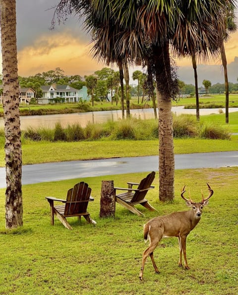 golf course/pond view and wildlife abound