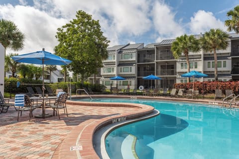 Swimming Pool with Umbrellas and loungers are provided