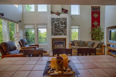 Living room feat. gas fire place
