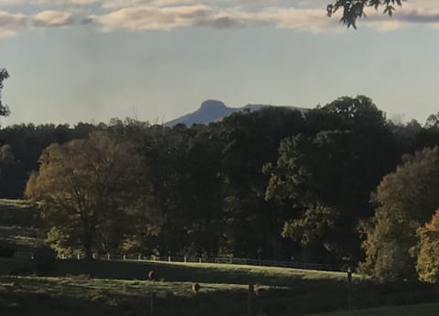 View of Pilot Mountain from the front windows and porch
