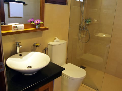 Deluxe Double Room Bathrooms with Rainshower