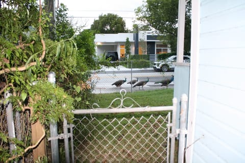 Street view from side of the house