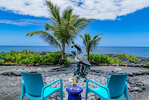 Absolute oceanfront and absolutely magical backyard!