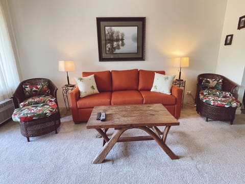 queen size sleeper sofa