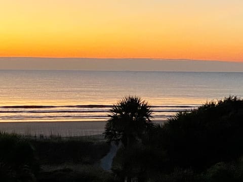 Morning View