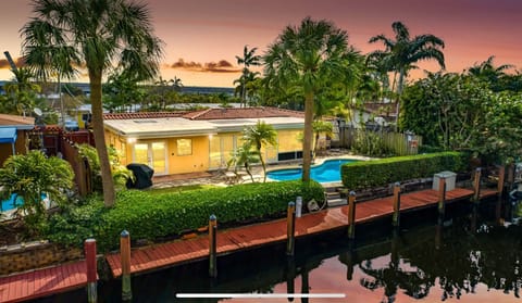 Back yard 