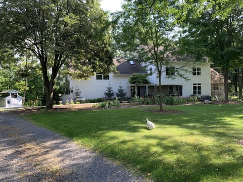 front yard