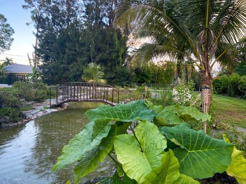 On property garden with waterfall and pond