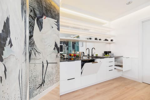 A closer view of the kitchen, highlighting a stylish countertop, sink, and modern amenities, with unique artistic wall accents.