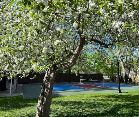 Your own basketball and pickle ball courts with night lighting