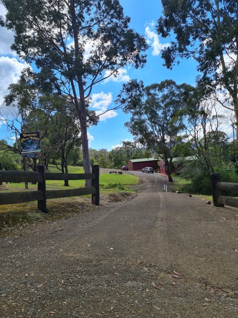 view of cabins from the road. 