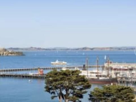 View from the Mustard Deck