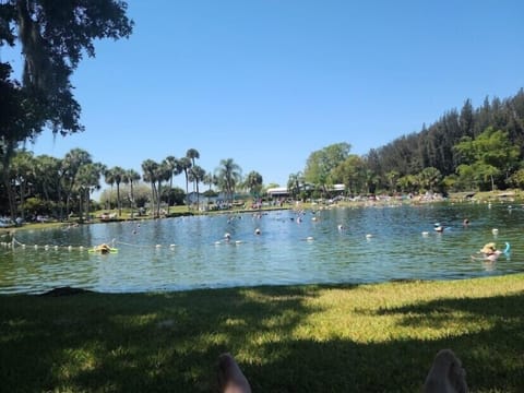 Warm Mineral Spring