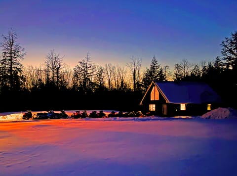 Night shot snowmobiles cab b 2
