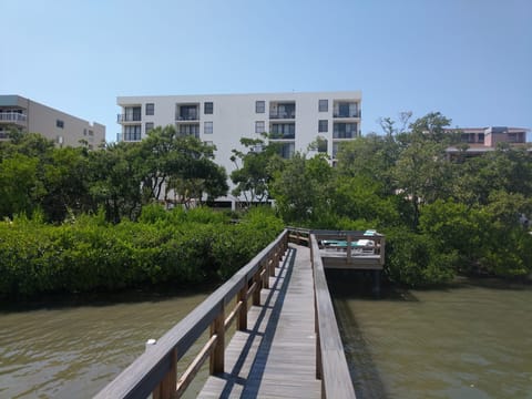 View of the building rear from the dock