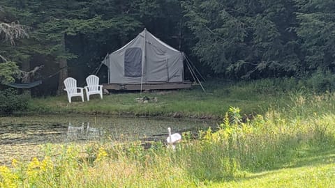 MAIN TENT LAKESIDE...HAS A DOUBLE BED AND SINGLE COT