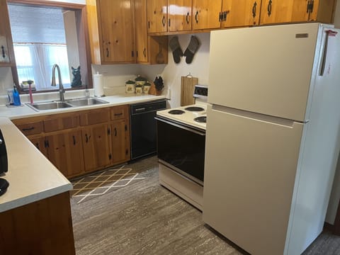 1950's Retro Well appointed kitchen with Knotty Pine Cabinets