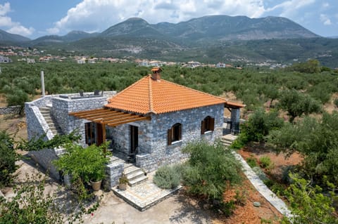 Main view