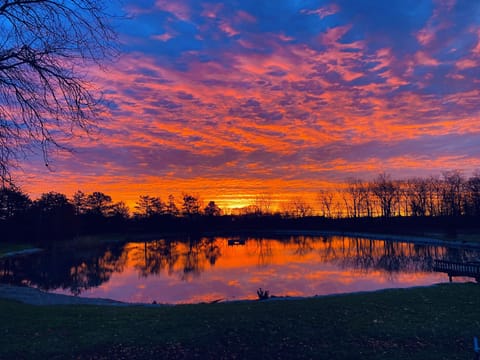 Sunrise over the pond.