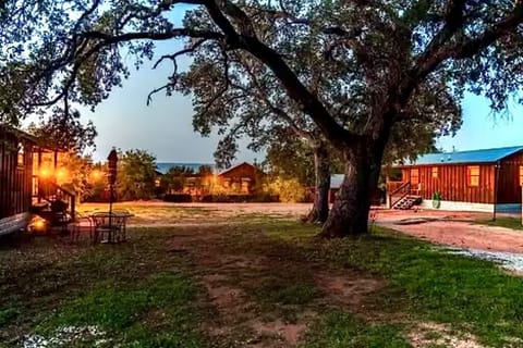 Cabins A+B+C+D: External Shot @ Night