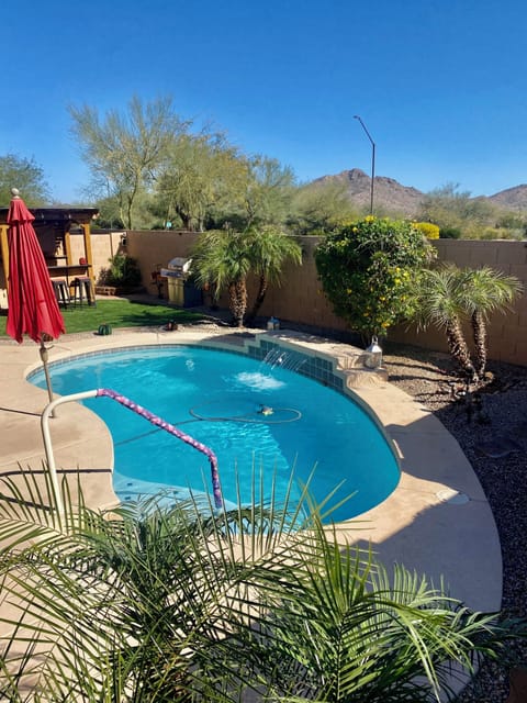 Backyard pool view