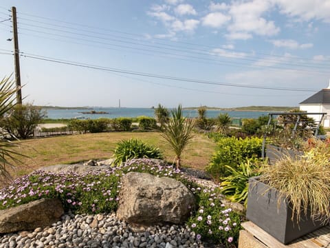 Rock, Shrub, Plant Community, Groundcover, Garden, Landscaping, Coast