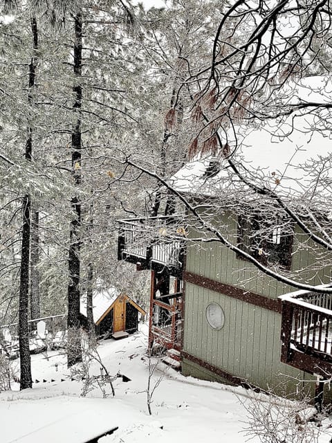 Winter at MCR cabin with Sisters Cove tree house in the background.