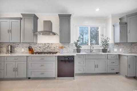 Additional kitchen pic