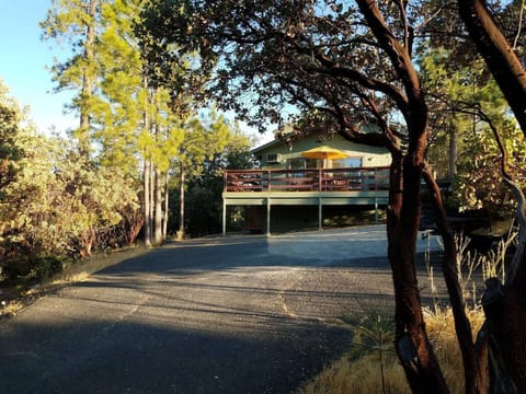 Coming up the driveway, the house will be seen through the tree lines