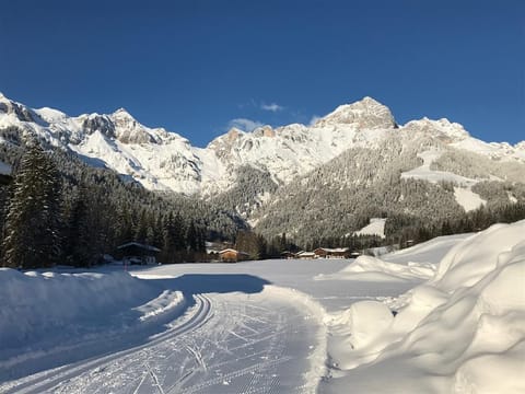 Chalet Steinernes Meer Apartment in Salzburgerland