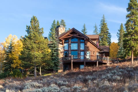 The Home