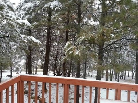Peaceful view from back balcony 