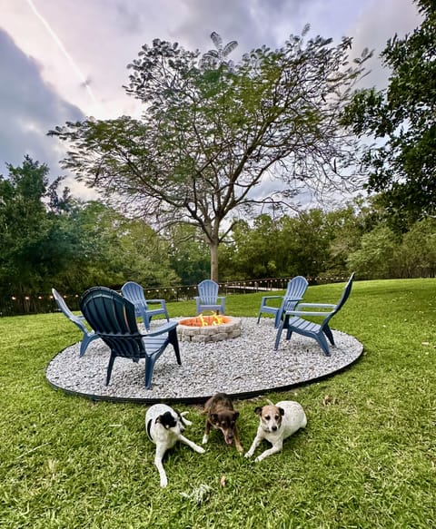 Our pups - waiting for s'mores around the firepit!