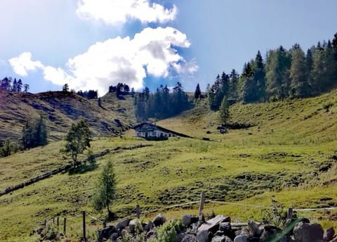 Alpine hut - Weindlhof Farm Stay in Salzburgerland