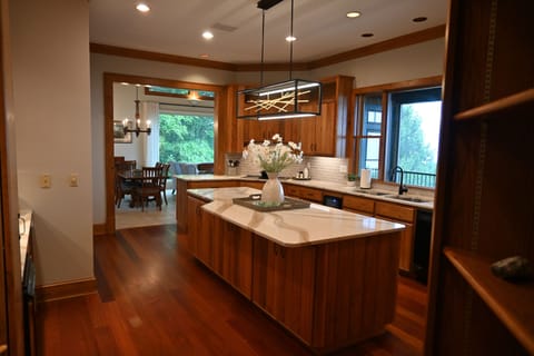 Large Gourmet Kitchen