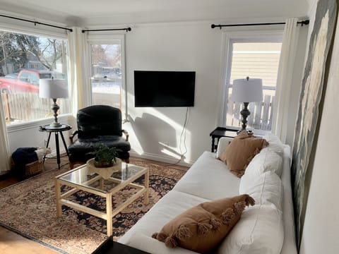 Smart Roku tv on swivel. Living room A/C in summer.