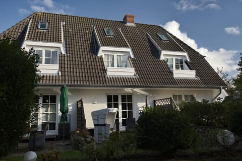 Main view