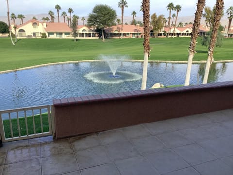 Beautiful Views from the Large Patio