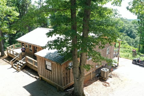 Back yard looks out to all tress, the wild life LOVES walking down the driveway