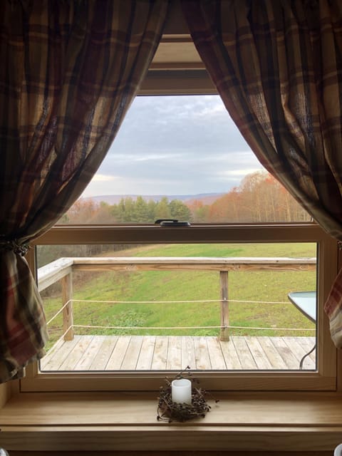 View from kitchen window