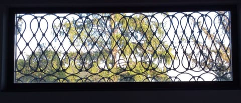 particolare griglia in ferro