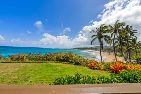 Garden view. The Hilton in the distance.
