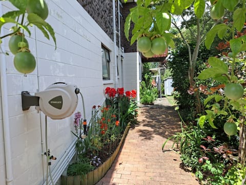 Own Private garden area