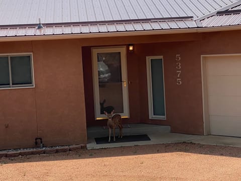 Sweet visitor on the front porch.