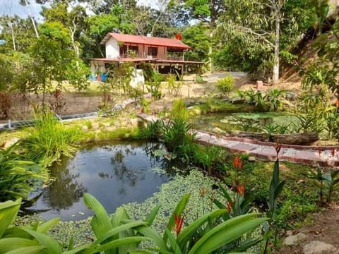 our house from a distance and fish ponds