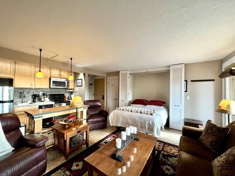 Living room with Murphy bed in the open position. Queen size, sleeps two.