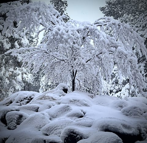 Stunning view from bed after a storm