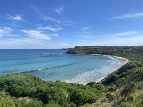 YCW beach 