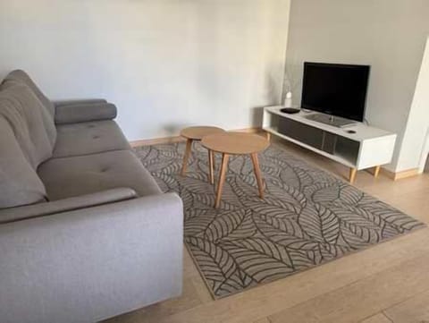 The living room features sleek coffee tables and a flat-screen television.