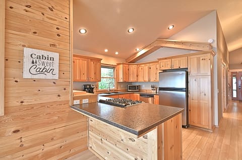 Kitchen area, main level 